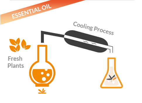 Distillation