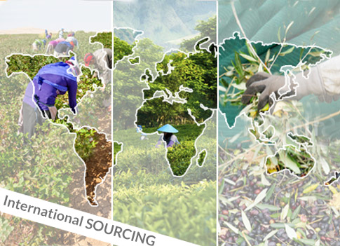 Worlwide partners to insure a sustainable sourcing